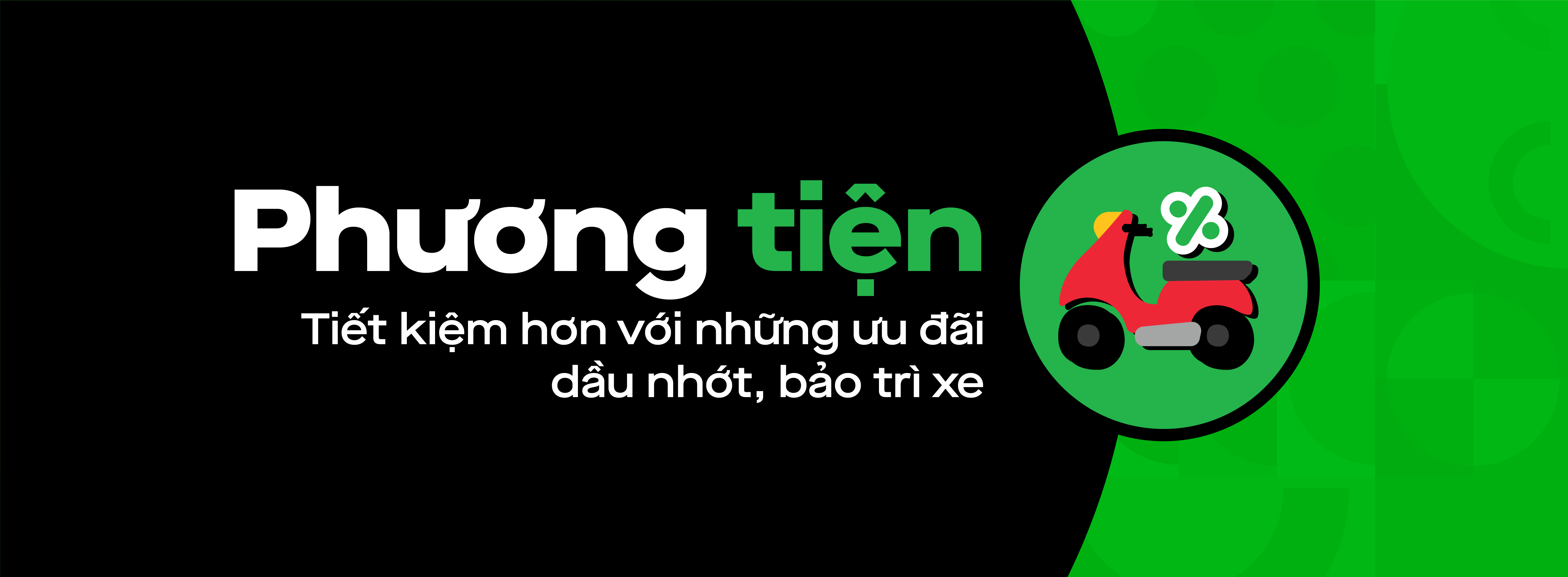 Chăm sóc chiến mã