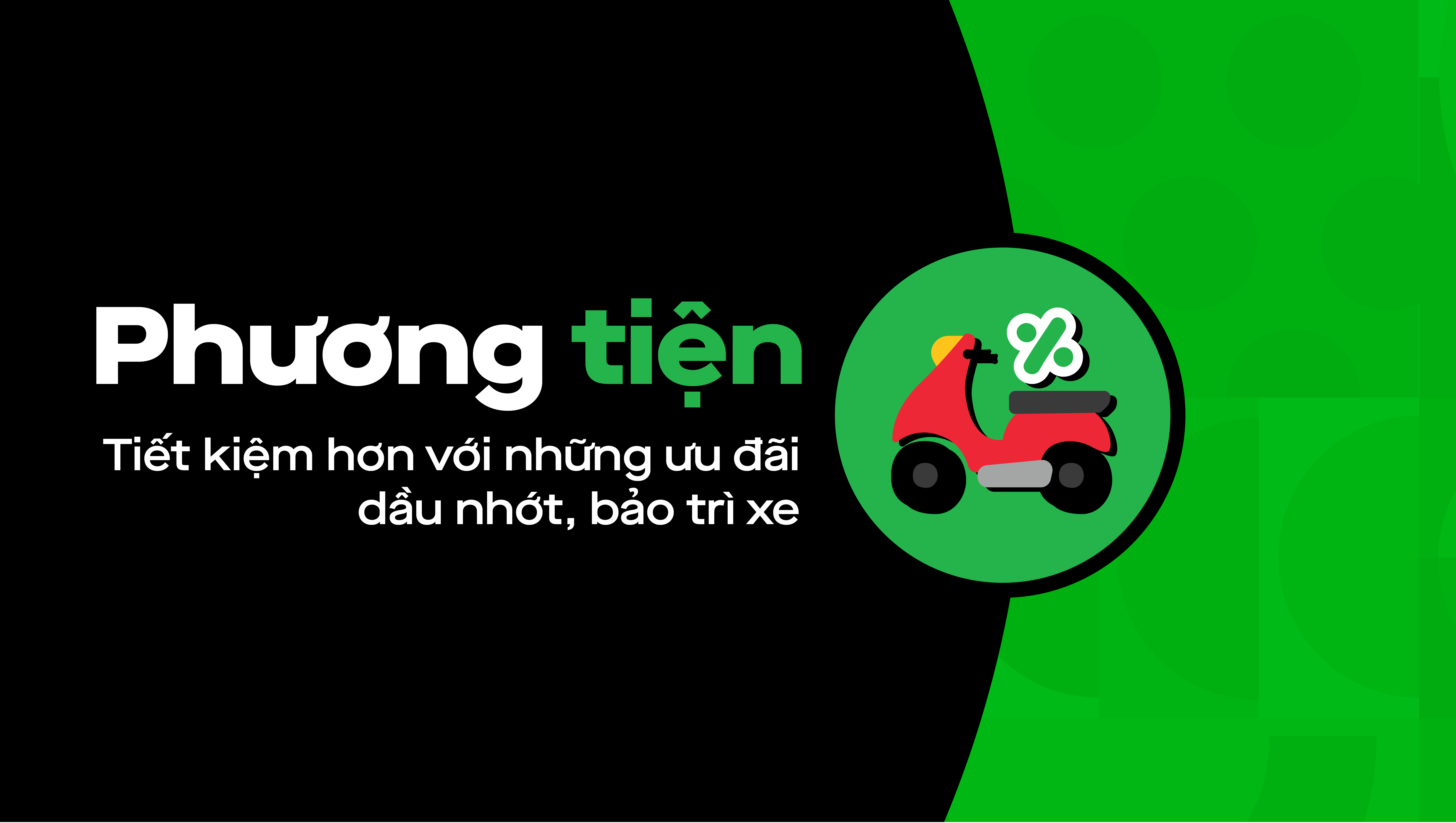 Chăm sóc chiến mã
